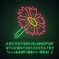 Blanket flower neon light icon. Gaillardia aristata garden plant. Arizona apricot. Blooming wildflower. Summer and