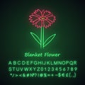 Blanket flower neon light icon. Gaillardia aristata garden plant with name inscription. Arizona apricot inflorescence