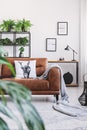 Blanket and pillow on brown couch in white apartment interior with posters and plants. Real photo