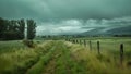 A blanket of silence covers the farmlands after a devastating hailstorm leaving behind a path of ruin and uncertainty