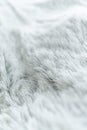 Blanket texture with white hairs