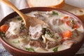 Blanquette of veal in a creamy sauce in a bowl. horizontal Royalty Free Stock Photo