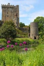 Blarney castle from the gardens