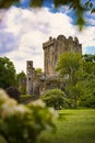 Blarney castle Ireland Royalty Free Stock Photo