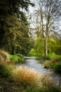 The blarney castle park 5