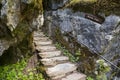 The Wishing Steps at Blarney Castle Royalty Free Stock Photo