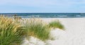 Baltic Sea Beach - Panorama