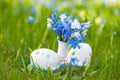 Scilla flowers with easter eggs Royalty Free Stock Photo