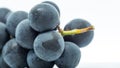 Blaxk Grape Fruits Royalty Free Stock Photo