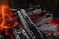 Blaze of bonfire wood fire flame spires in fireplace Royalty Free Stock Photo