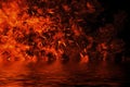 Blaze fire flame texture on isolated background with water reflection Royalty Free Stock Photo