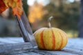 Blaze Pumpkin With Weathered Window Frame Royalty Free Stock Photo