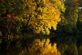 Blazing Autumn Colors of Trees with Reflaction in a Lake