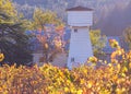 Blazing Autumn in Napa Valley Royalty Free Stock Photo