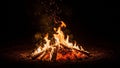 Blazing campfire with bright orange flames and glowing embers Royalty Free Stock Photo