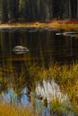 Blazing fall colors reflecting into a Yosemite Park pond Royalty Free Stock Photo