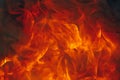 Blazing fire background with tongues of flame Royalty Free Stock Photo