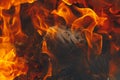 Blazing fire background with tongues of flame Royalty Free Stock Photo