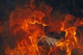 Blazing fire background with tongues of flame Royalty Free Stock Photo