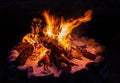 Cosy Campfire Tales Royalty Free Stock Photo