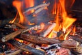 Blazing wood fire. Royalty Free Stock Photo