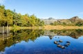 Blea Tarn in the English Lake District Royalty Free Stock Photo