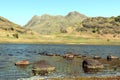 Blea Tarn in the Lake District National Park on a bright summer day