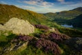 Blea Tarn in Langdale, Lake District Royalty Free Stock Photo