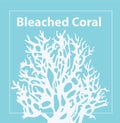 Bleached Coral. Trendy color of 2020