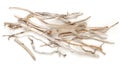 Sea driftwood branches isolated on white background. Royalty Free Stock Photo