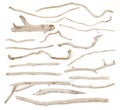Set of sea driftwood branches isolated on white background. Royalty Free Stock Photo