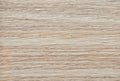 Bleached oak, flat surface of natural wood close-up Royalty Free Stock Photo