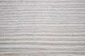 Bleached oak, natural light wood close-up. Close up shot Royalty Free Stock Photo