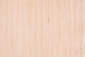 Bleached oak wood texture Royalty Free Stock Photo