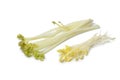 Bleached sea kale and sprouts Royalty Free Stock Photo