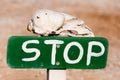 Bleached skull with green painted Stop sign