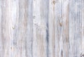 Bleached wood texture. Light aged wood background