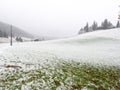 Bleak misty winter landscape with light snow