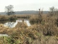 A bleak morning on a calm river during a crisp winter morning Royalty Free Stock Photo