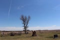 Bleak prairie cemetery in spring Royalty Free Stock Photo