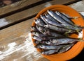 Bleak or Shemaya. Dried fish on a ceramic plate on a loft background