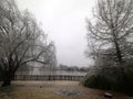 Bleak day with ice covering the twigs of trees on a cold winter morning