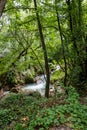 bleck river dopo waterfall of marble