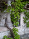 Bled Castle, Slovenia Royalty Free Stock Photo