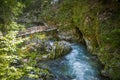 Bled gorge, Blejski vintgar, Slovenia