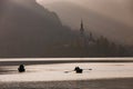 Bled Lake in the sunset with boat