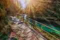 Bled, Slovenia - The beautiful Vintgar Gorge canyon with wooden path and stream near Bled