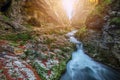 Bled, Slovenia - The beautiful Vintgar Gorge canyon with wooden path and stream near Bled