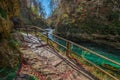 Bled, Slovenia - The beautiful Vintgar Gorge canyon with wooden path and stream