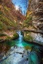 Bled, Slovenia - The beautiful Vintgar Gorge canyon with woodenBled, Slovenia - The beautiful Vintgar Gorge canyon with wooden bri